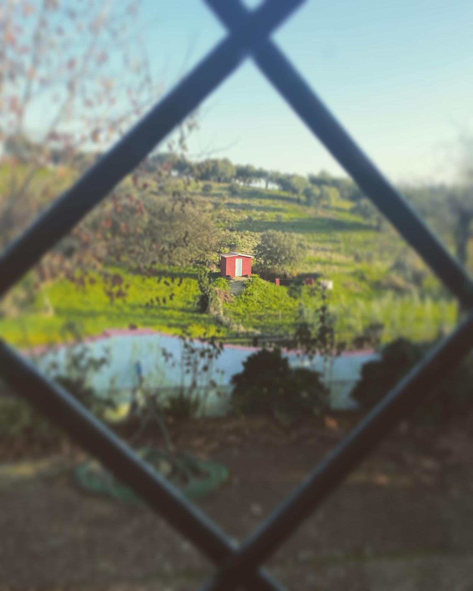 La Casa Barata, Casa Rural Cedillo Exteriör bild